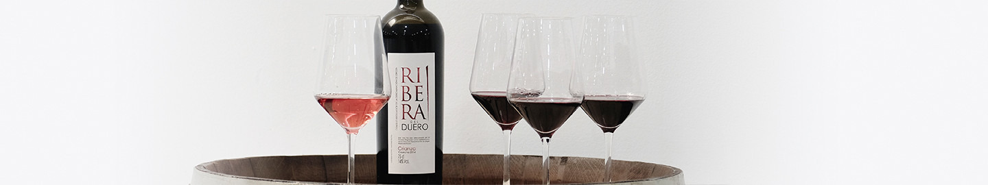 Vinos D.O Ribera del Duero