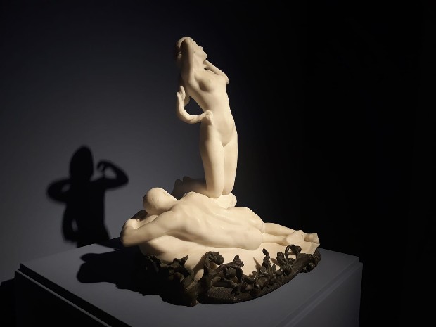 exposicion-cuerpo-materia2