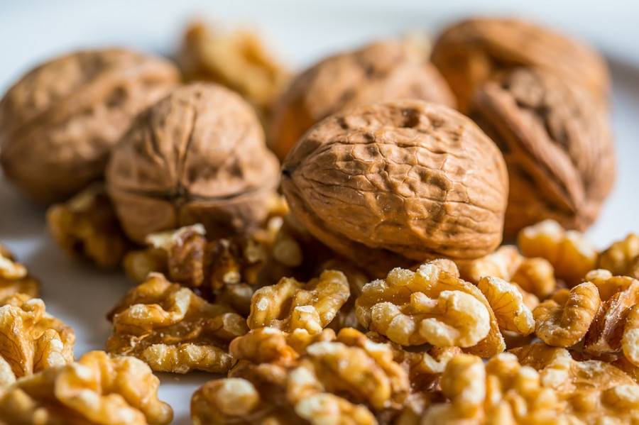 nueces-dieta