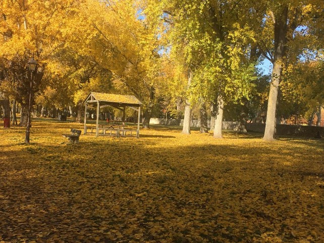 parral