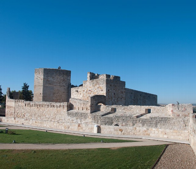 El Castillo de Zamora