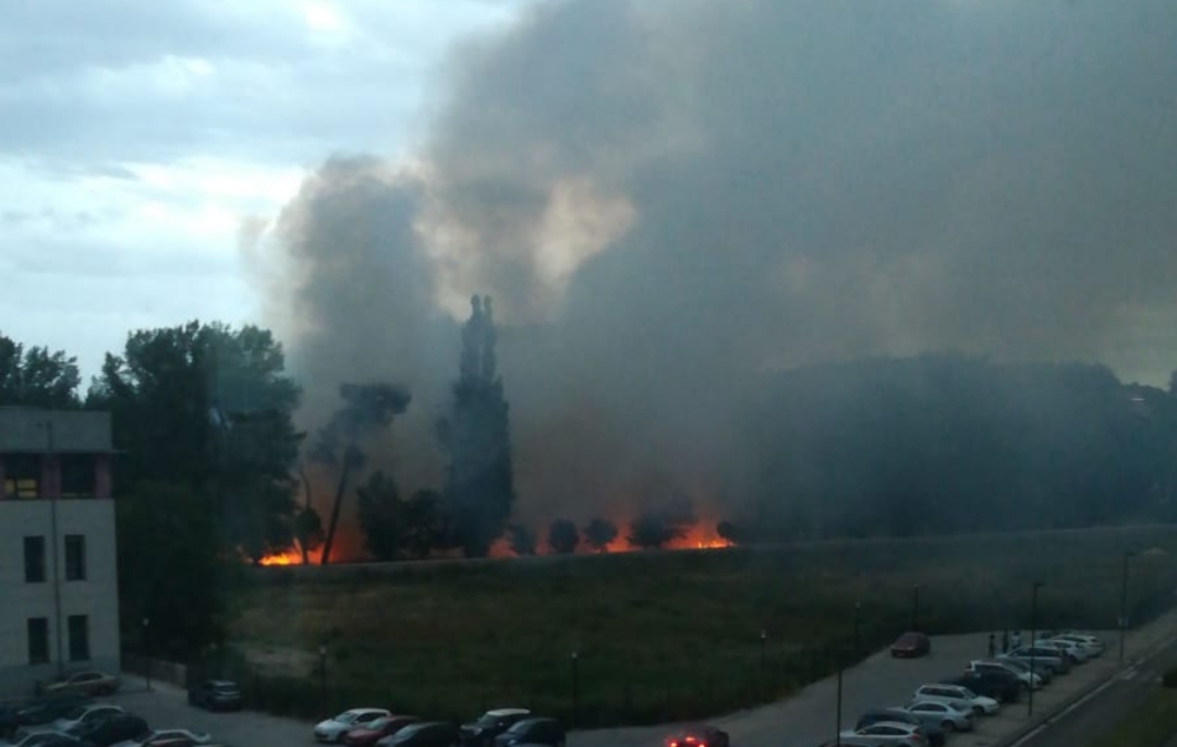 fuego-pelusas-parral