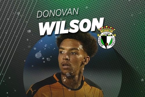 wilson-bcf