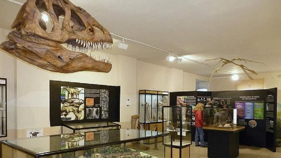 dinosaurios-salas-museo