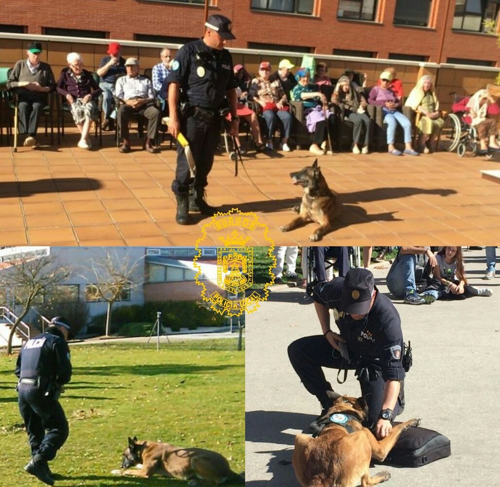 perro-policia-local
