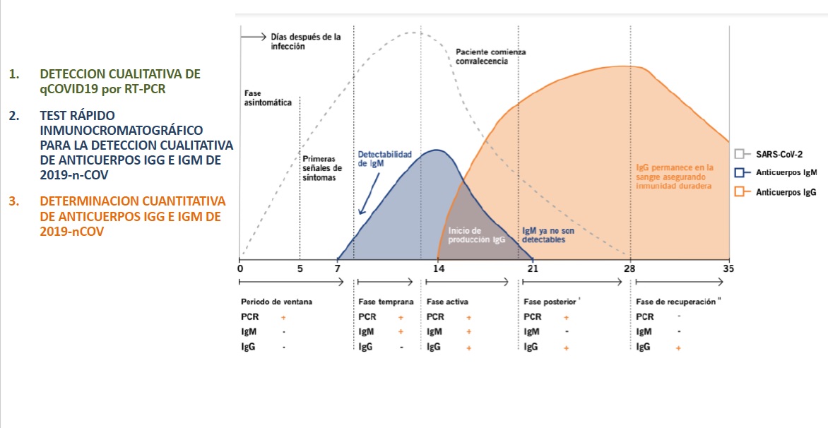 pruebas-covid-grafica