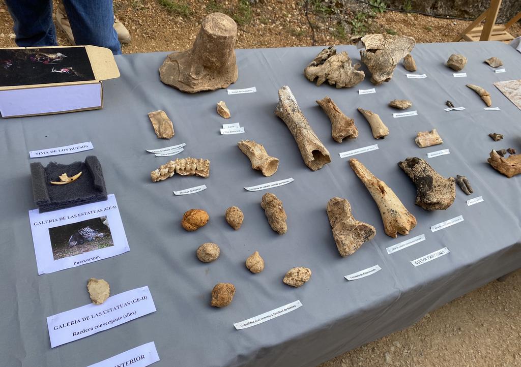 atapuerca-restos-fosiles