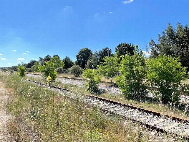 La Plataforma por el Ferrocarril pide modernizar el corredor central  