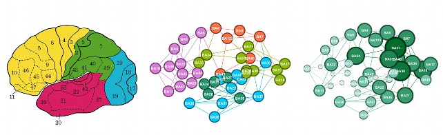 Análisis de redes, relaciones espaciales y cartografía cerebral