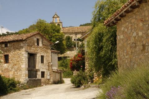 fresnedo-localidad-burgos
