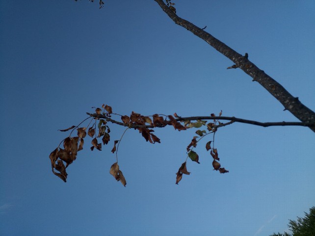 El aire subtropical deja un puente inusualmente suave en Burgos y gran parte del país