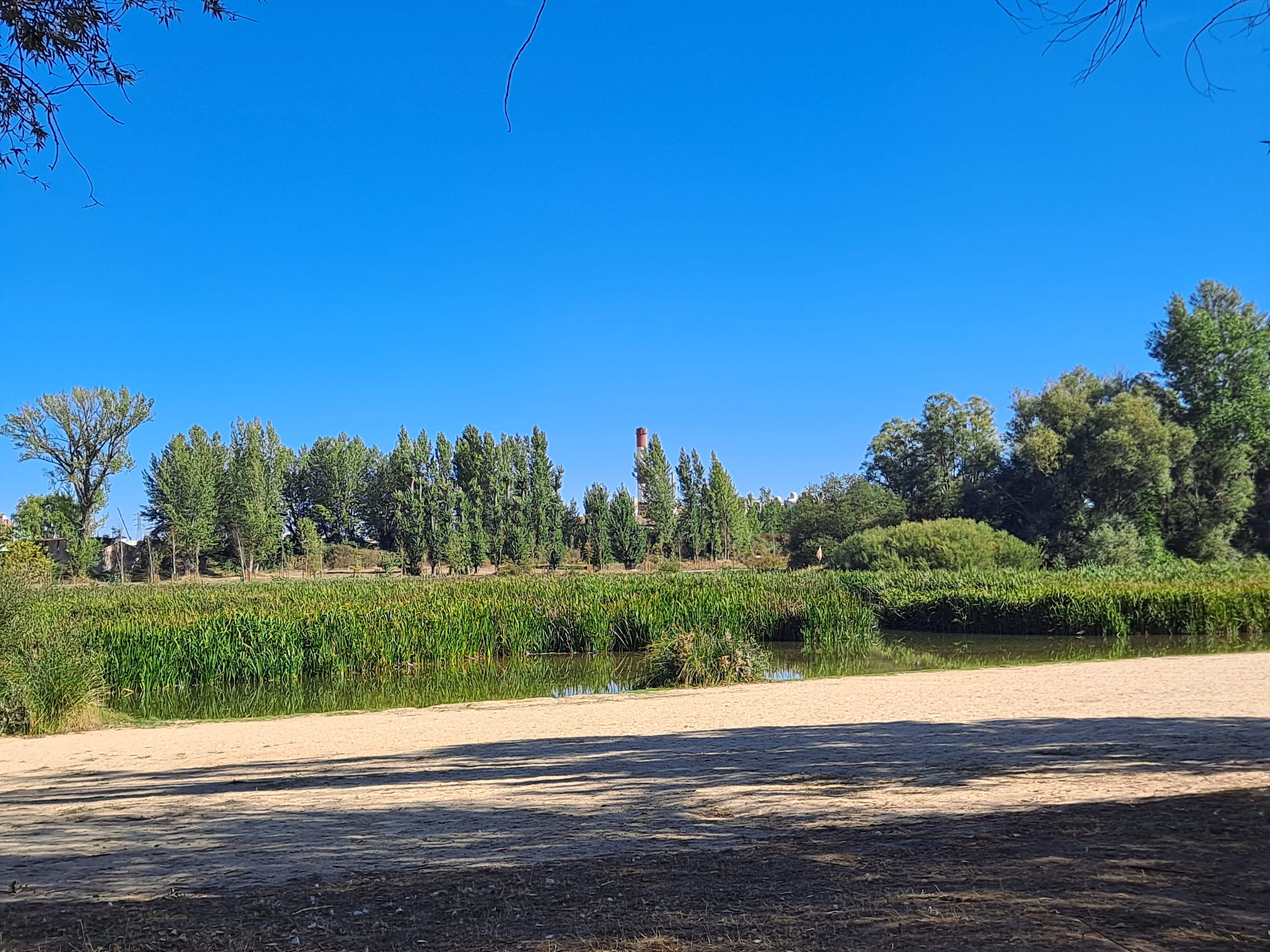 Playa Fuente prior