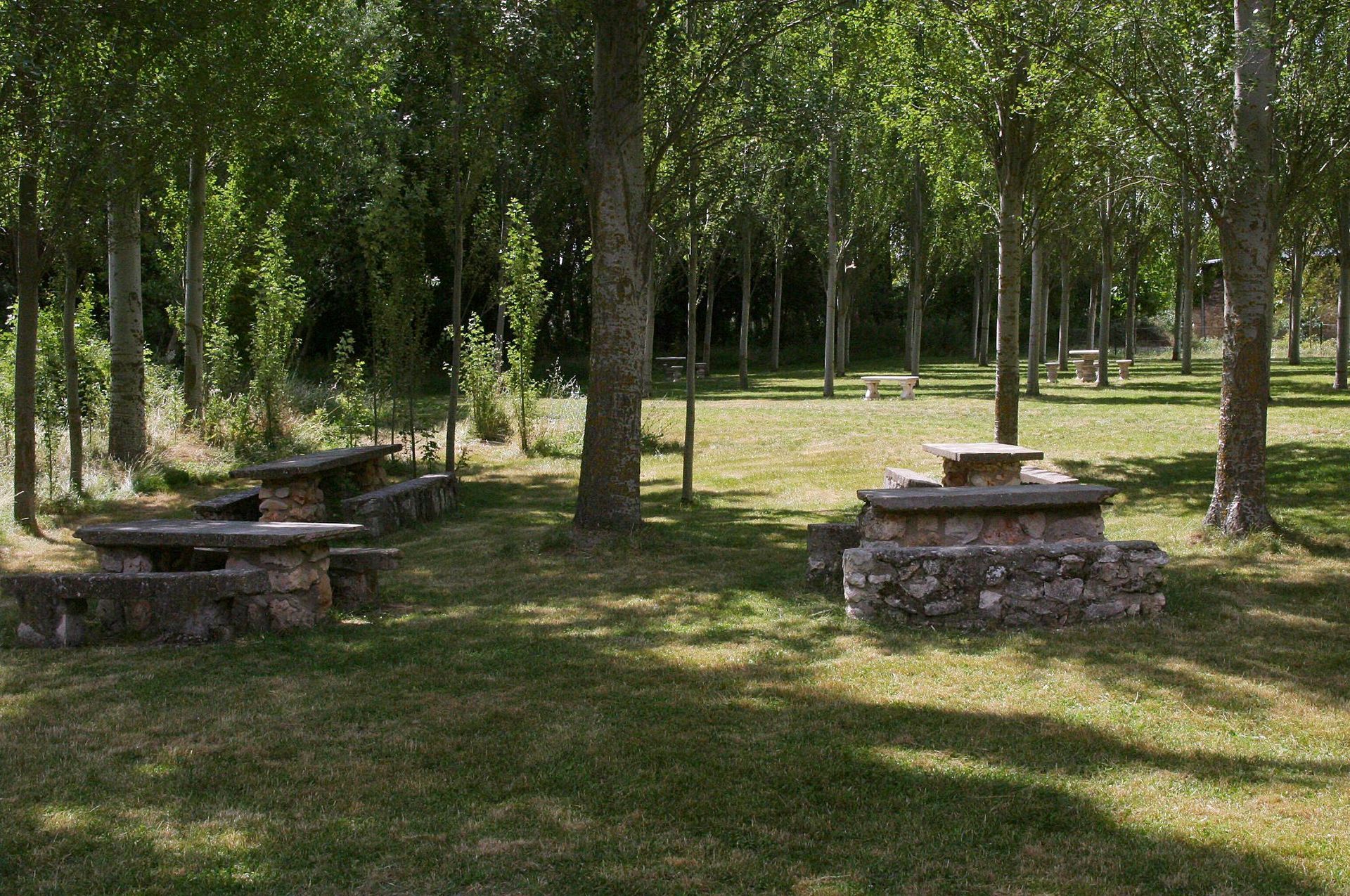 Tórtoles De Esgueva