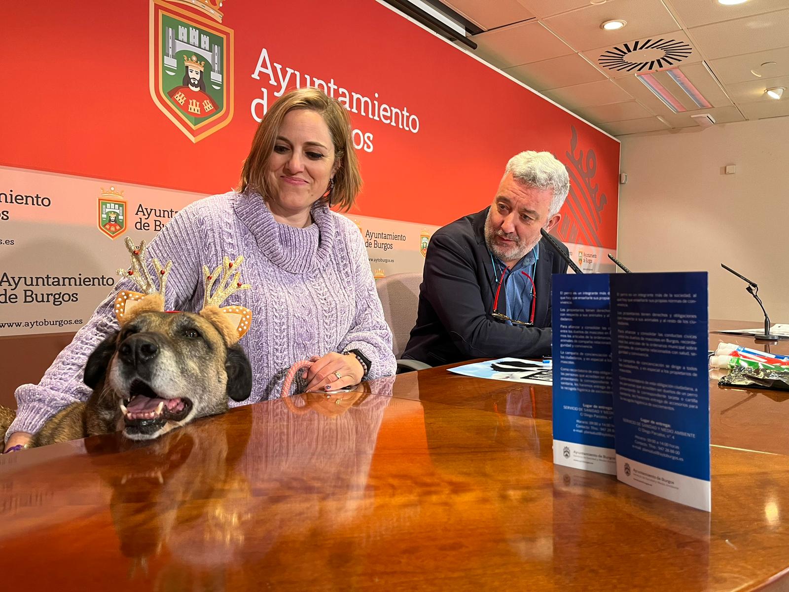 Perro