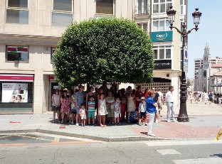 Burgos árbol verano calor