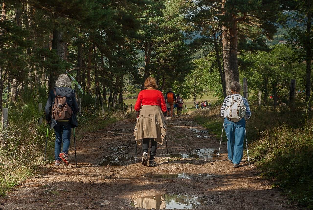 Camino de Santiago