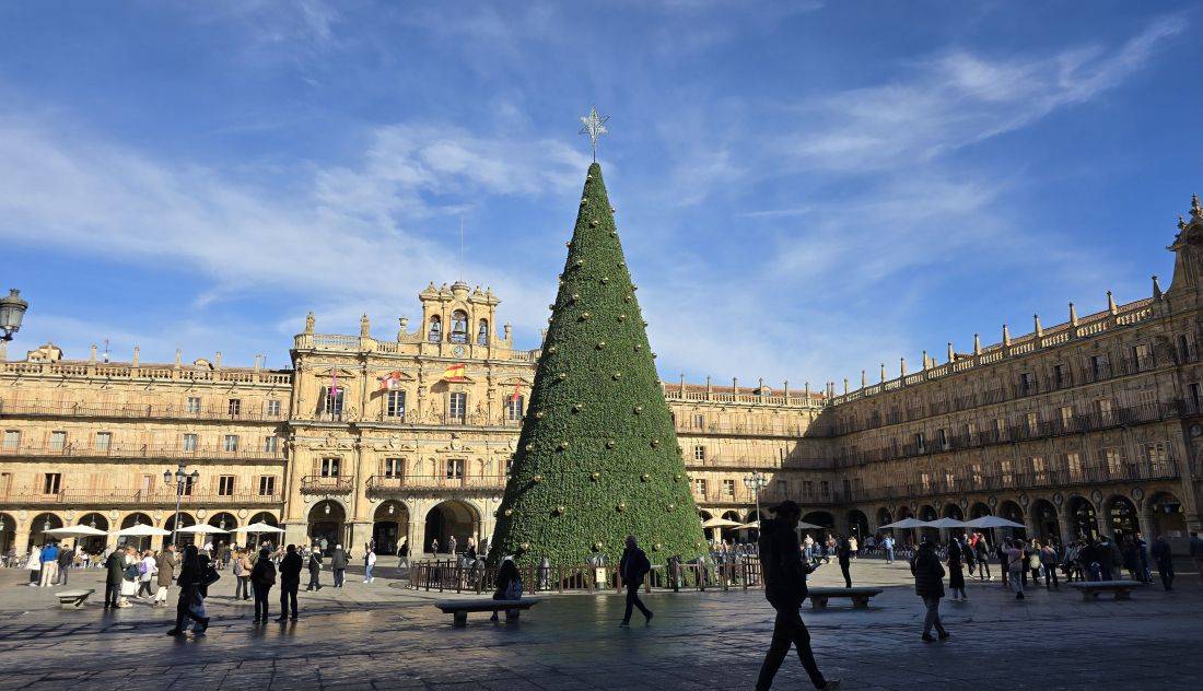 ARBOL-SALAMANCA