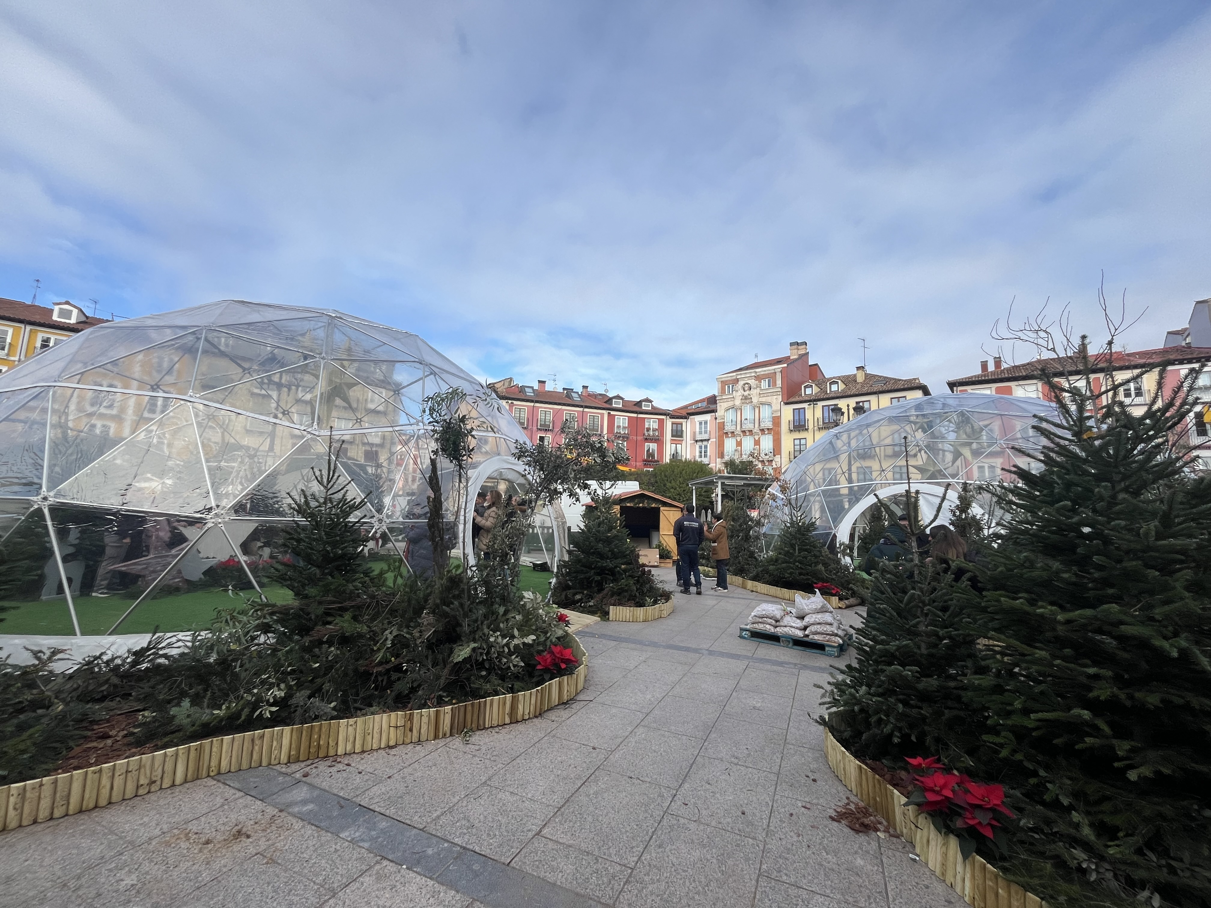 Flojabur Mercado Navideño