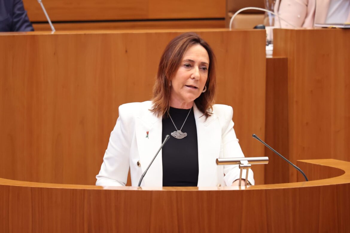 Rosa rubio PSOE