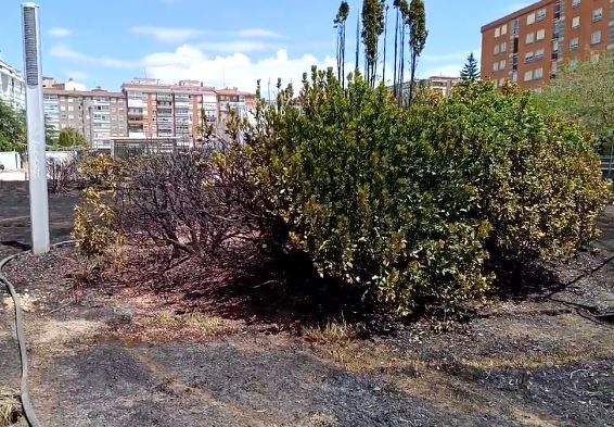 Incendio Parque Félix Rodríguez de la Fuente