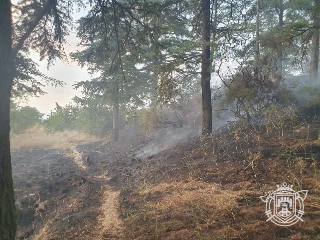 bomberos de burgos