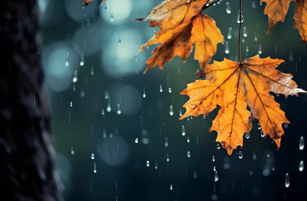 Lluvia otoño