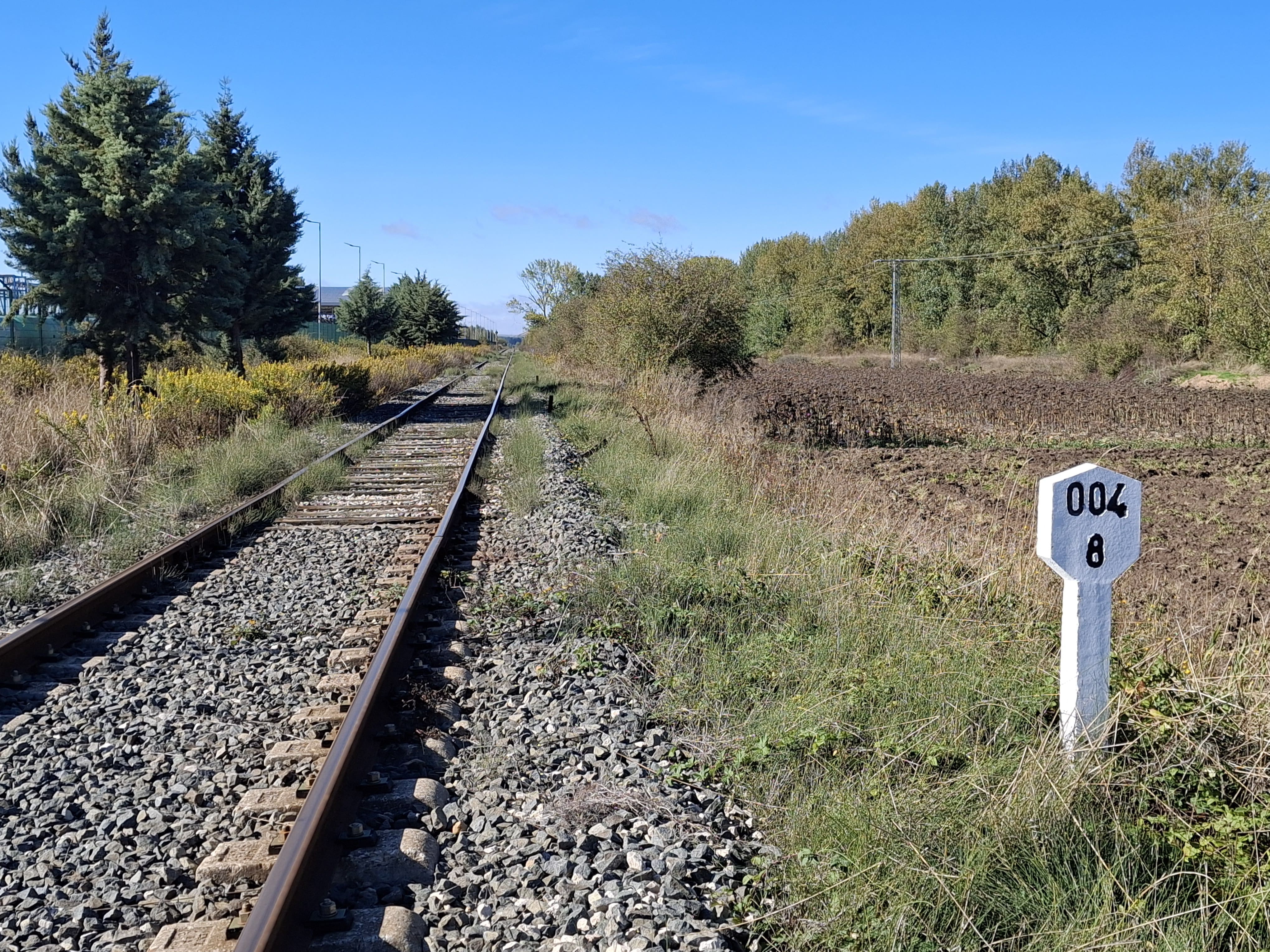 renovación integral de vía en el ramal ferroviario al polígono de Villalonquéjar