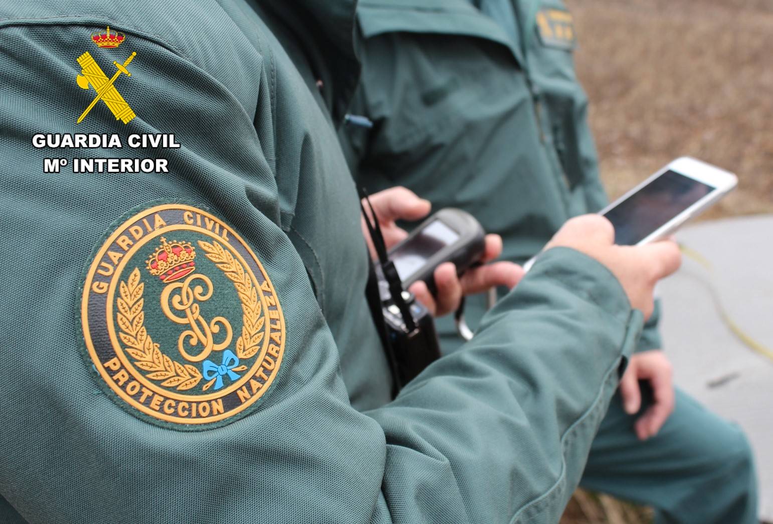 Guardia Civil pavo real