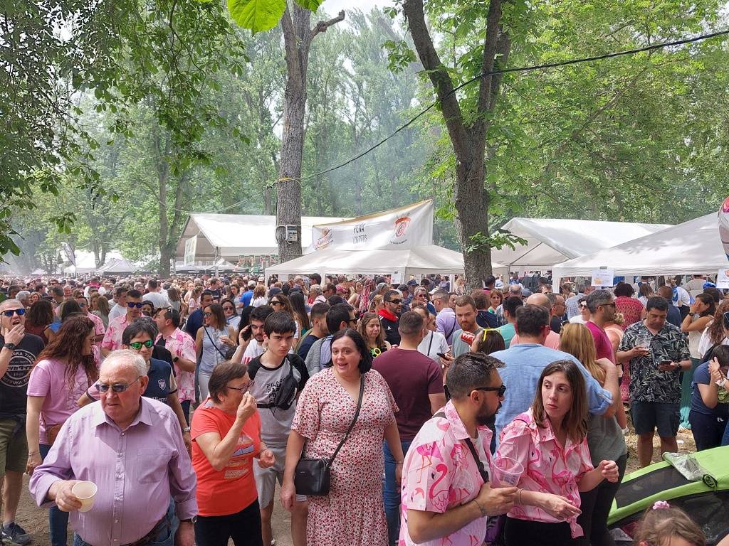 JIRA-CURPILLOS-QUINTA