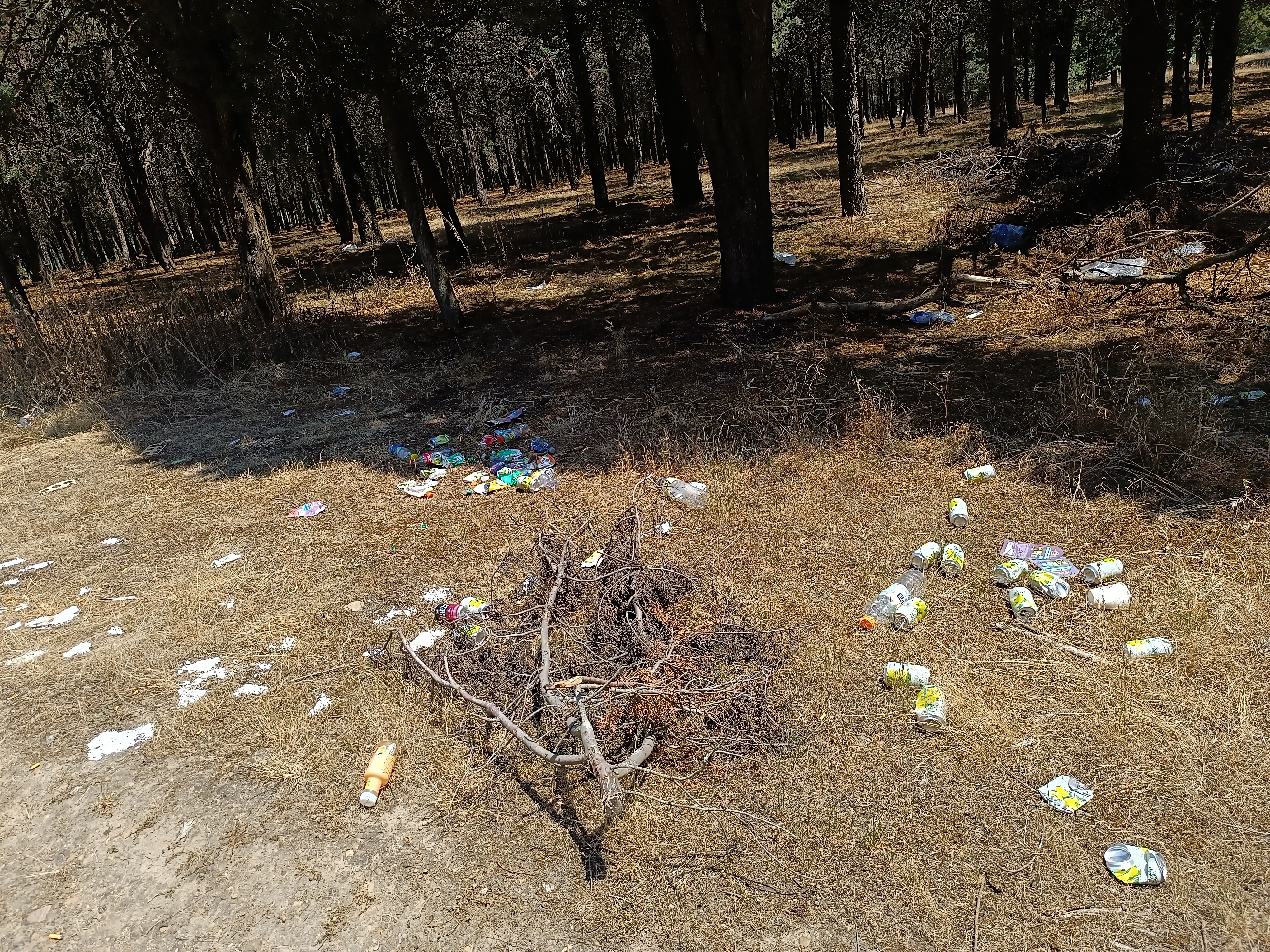 fotodenuncia basura pinar