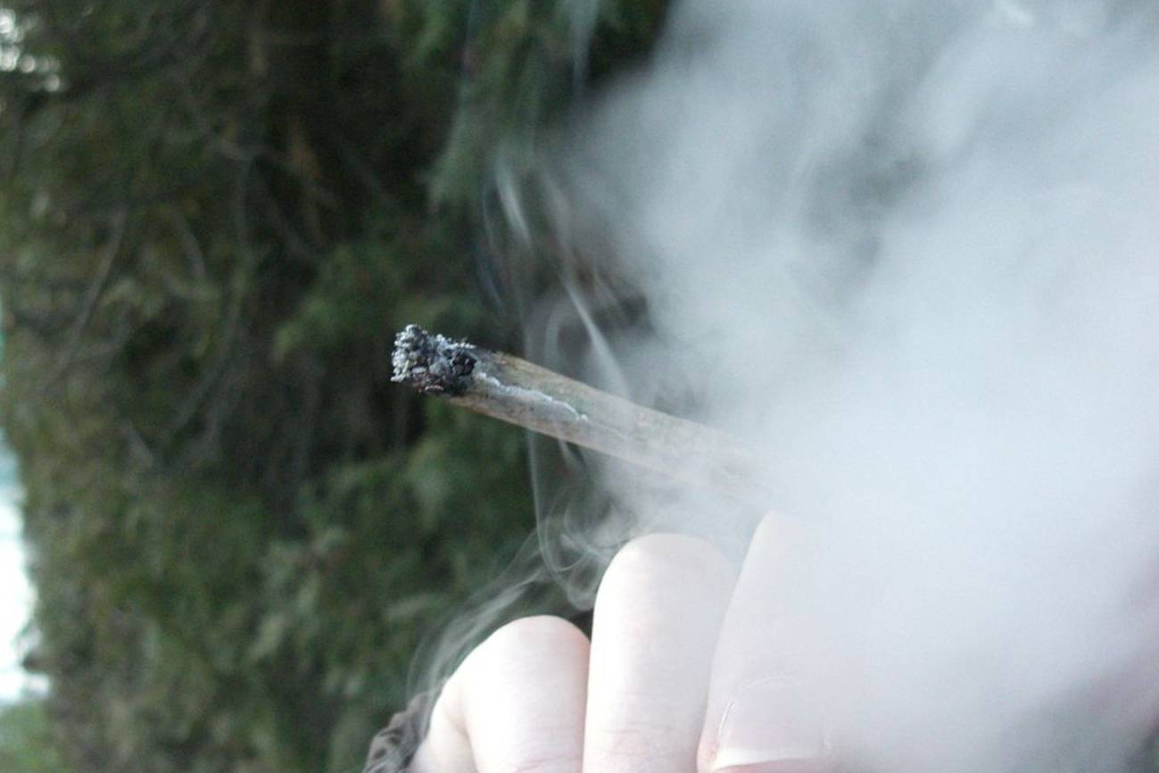 cannabis