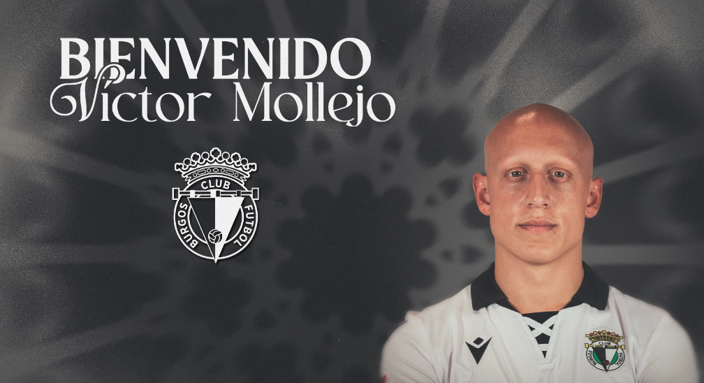mollejo bcf