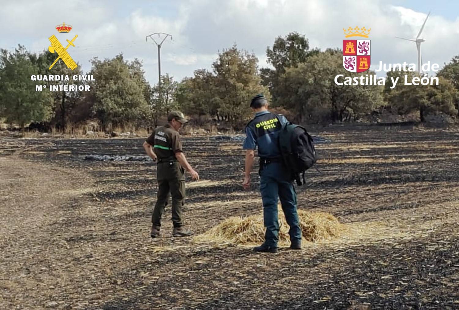 hectareas calcinadas incendio