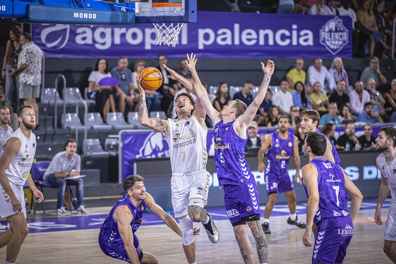 SAN PABLO PALENCIA COPA CYL